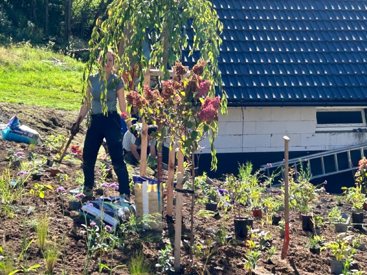 Konzultace a poradenství