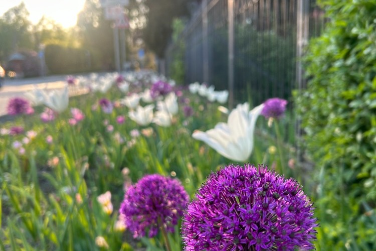 Konzultace a poradenství